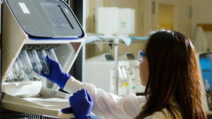 Ilustrasi produk rekayasa genetika