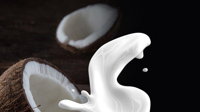 Ilustrasi santan kelapa