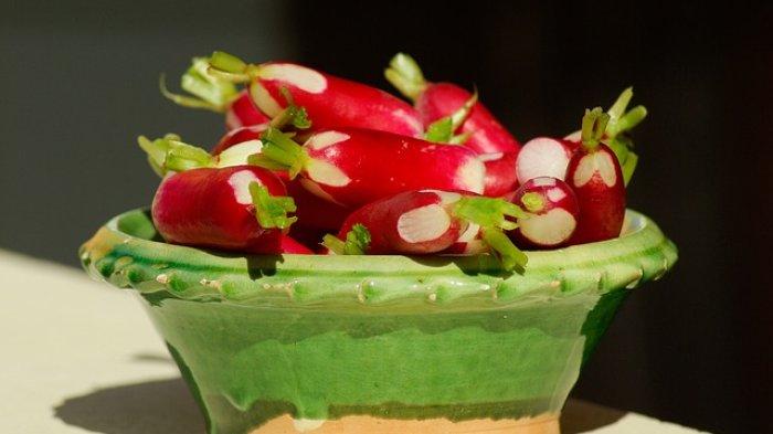 Ilustrasi sayur lobak merah