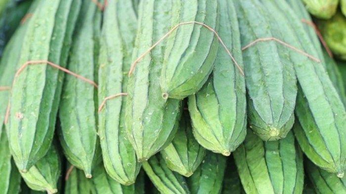 Ilustrasi sayur oyong
