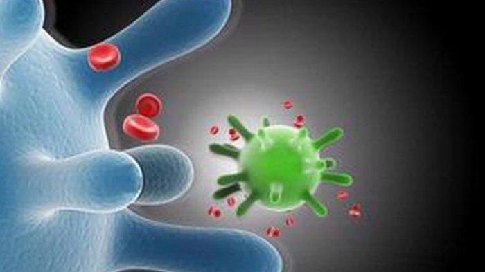 Ilustrasi terinfeksi Human papillomavirus (HPV)