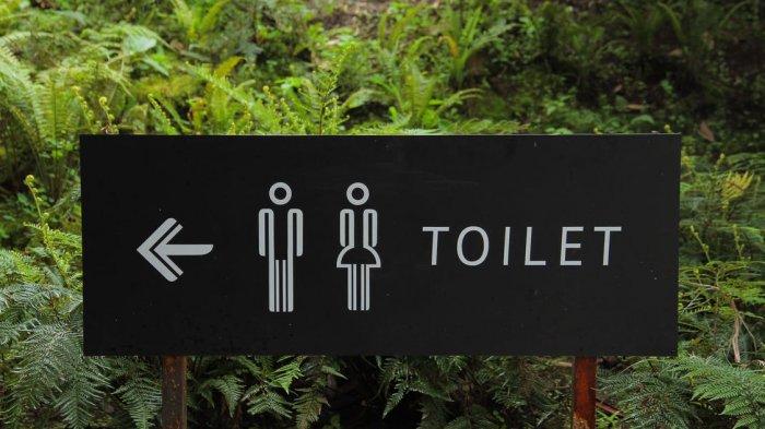 Ilustrasi toilet umum