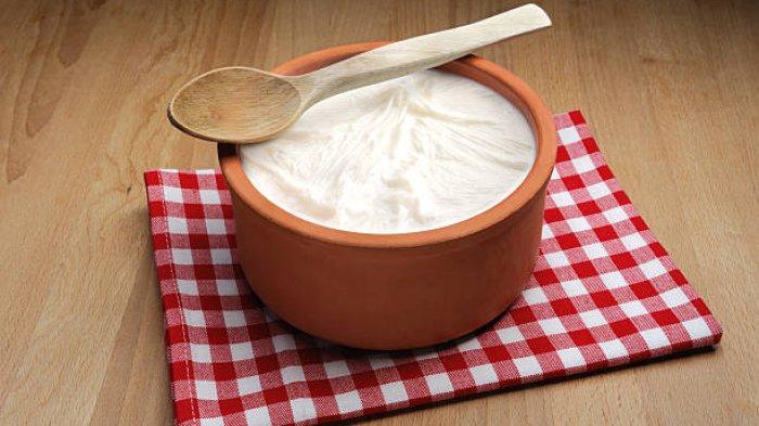 Ilustrasi yogurt 