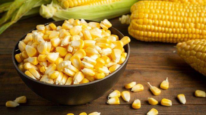 Ilustrasi jagung, makanan indeks glikemik tinggi yang tidak dapat menurunkan kadar gula darah