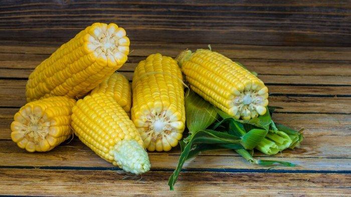 Ilustrasi jagung, makanan indeks glikemik tinggi yang tidak dapat menurunkan kadar gula darah