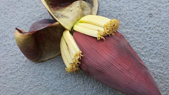 manfaat konsumsi jantung pisang untuk kesehatan