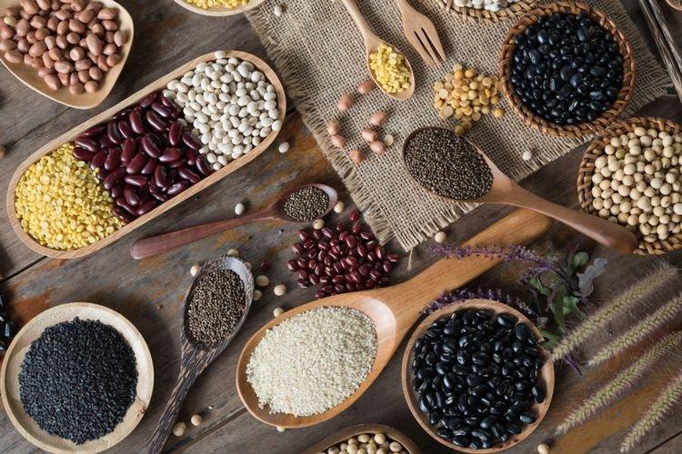 ilustrasi kacang-kacangan dan polong-polongan, protein rendah lemak yang bagus untuk jantung dan menu diet