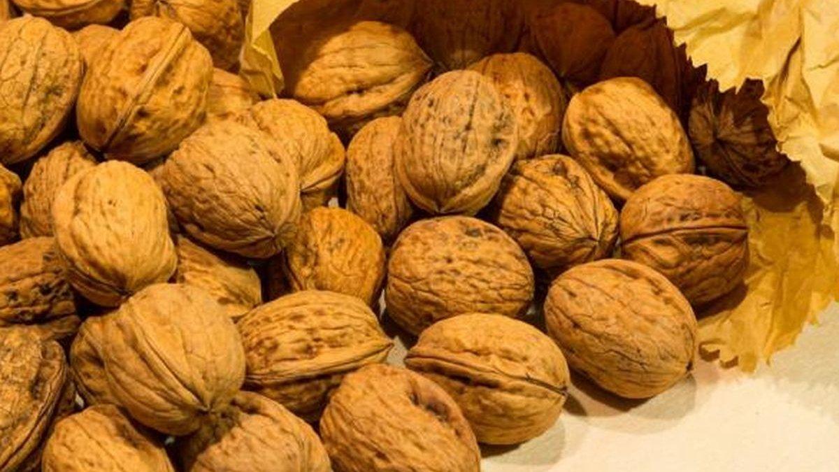 manfaat kacang kenari untuk kesehatan