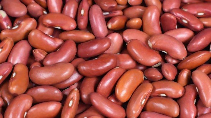 Ilustrasi kacang merah, berikut ini manfaat kacang merah untuk kesehatan
