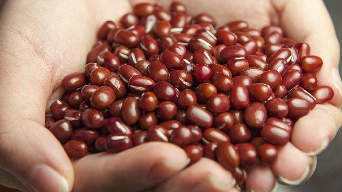 Ilustrasi kacang merah, berikut ini manfaat kacang merah untuk kesehatan