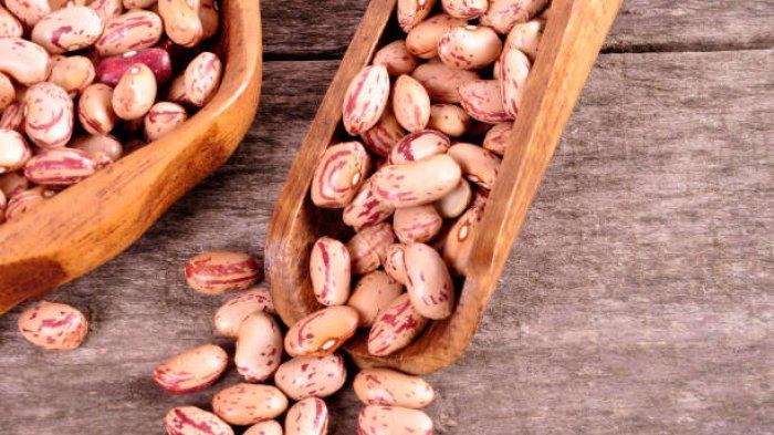 kacang pinto