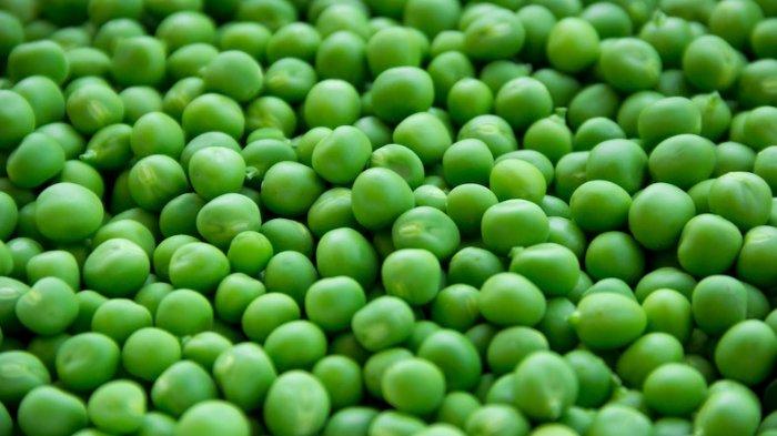 Ilustrasi kacang polong, berikut ini sederet manfaat kacang polong untuk kesehatan