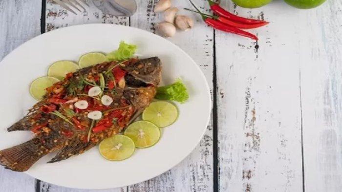 Ilustrasi kakap merah, ikan yang boleh dikonsumsi penderita asam urat