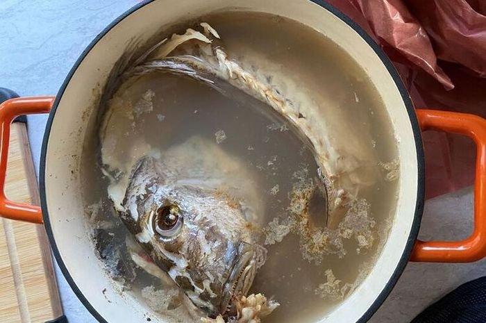 kaldu ikan 1