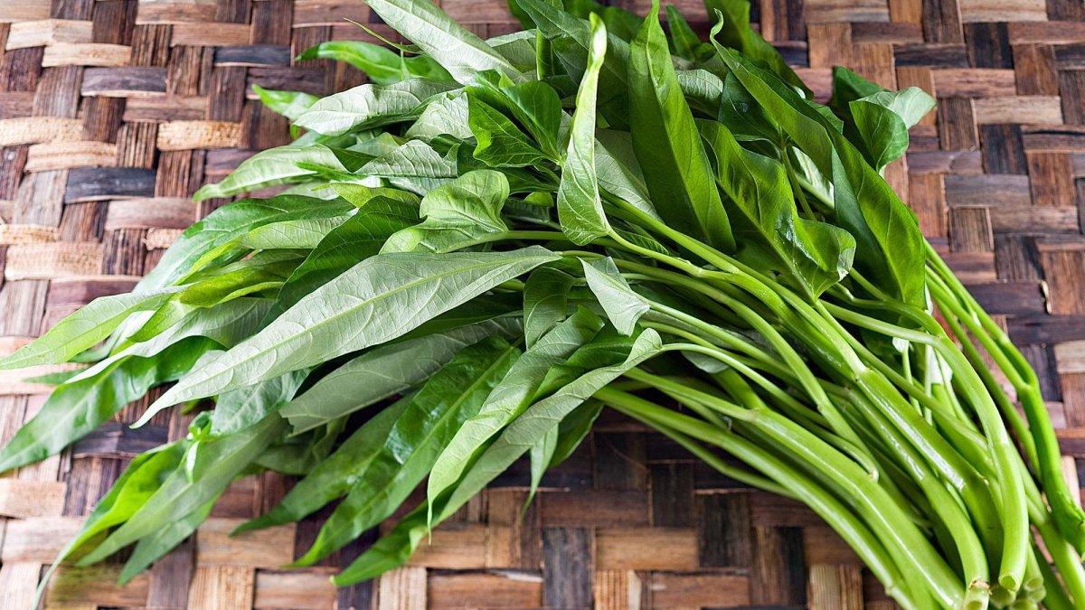 ilustrasi sayur kangkung, menyimpan manfaat untuk kesehatan