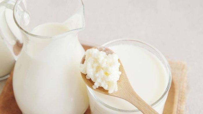 Ilustrasi kefir, makanan fermentasi yang dapat meningkatkan kesehatan otak