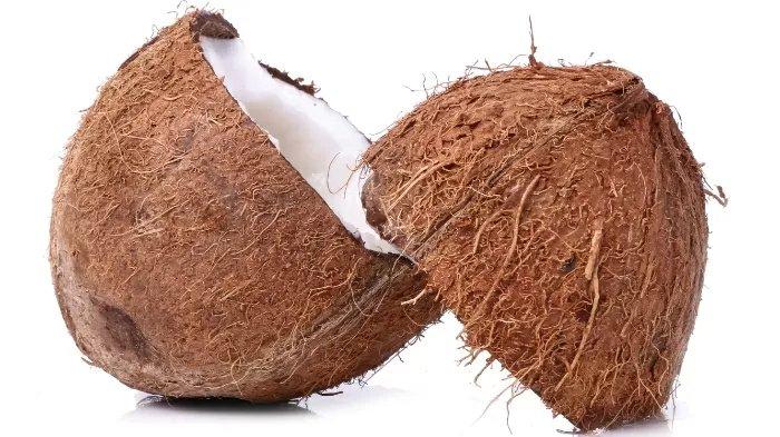Ilustrasi daging kelapa, berikut ini sederet manfaat mengonsumsi daging kelapa