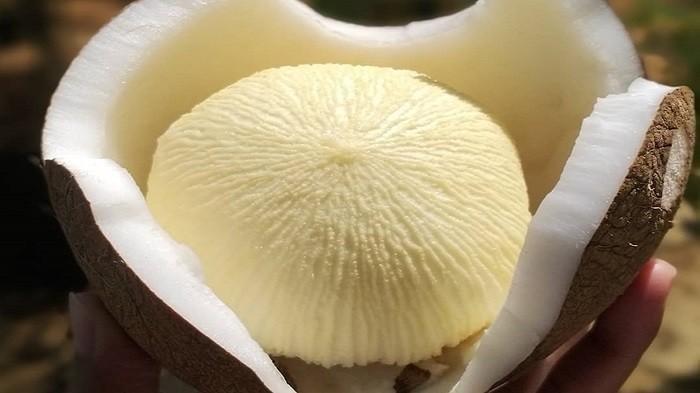 Kentos kelapa memiliki nilai gizi yang baik, ini penjelasan dr. Zaidul Akbar