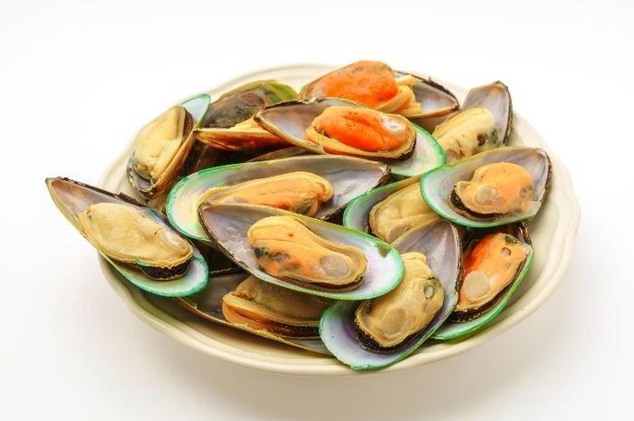 kerang 1