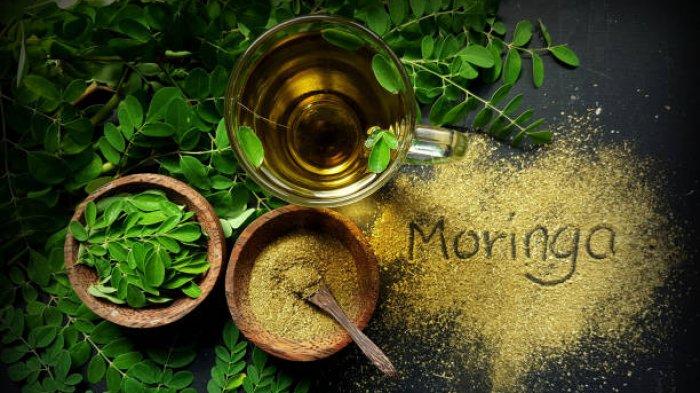 Khasiat daun kelor bagi kesehatan jantung
