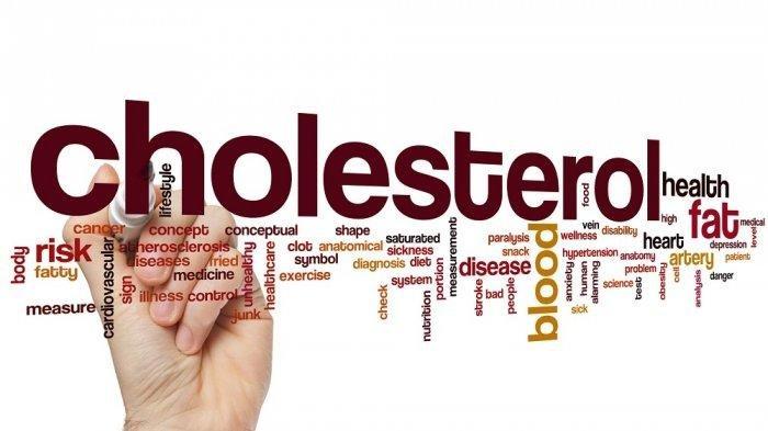 ilustrasi kolesterol