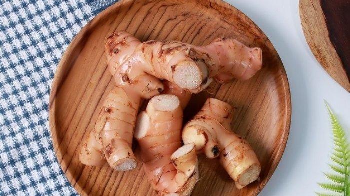 manfaat lengkuas untuk kesehatan