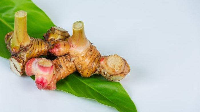 manfaat lengkuas untuk kesehatan