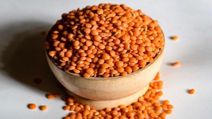 Ilustrasi lentil, salah satu jenis protein nabati yang bagus dikonsumsi penderita diabetes