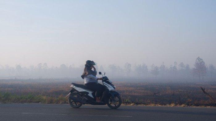 ilustrasi lingkungan berasap