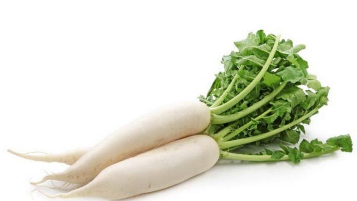 ilustrasi sayur lobak