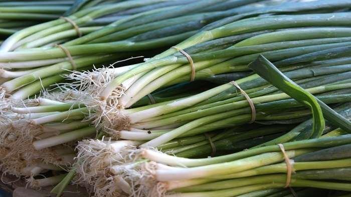 Manfaat daun bawang untuk kesehatan