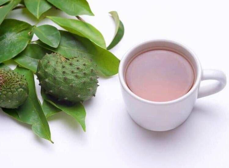 ilustrasi teh daun sirsak