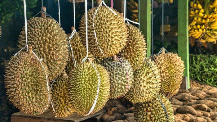 Ilustrasi durian, berikut batas aman konsumsi durian bagi penderita diabetes