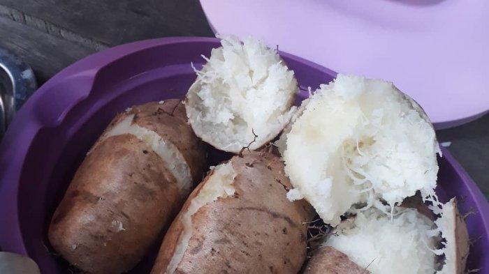 Manfaat gembili untuk diabetes