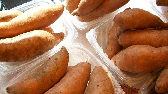 Manfaat ubi yam untuk diabetes