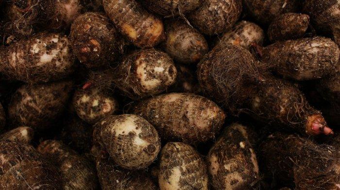 Manfaat ubi yam untuk diabetes