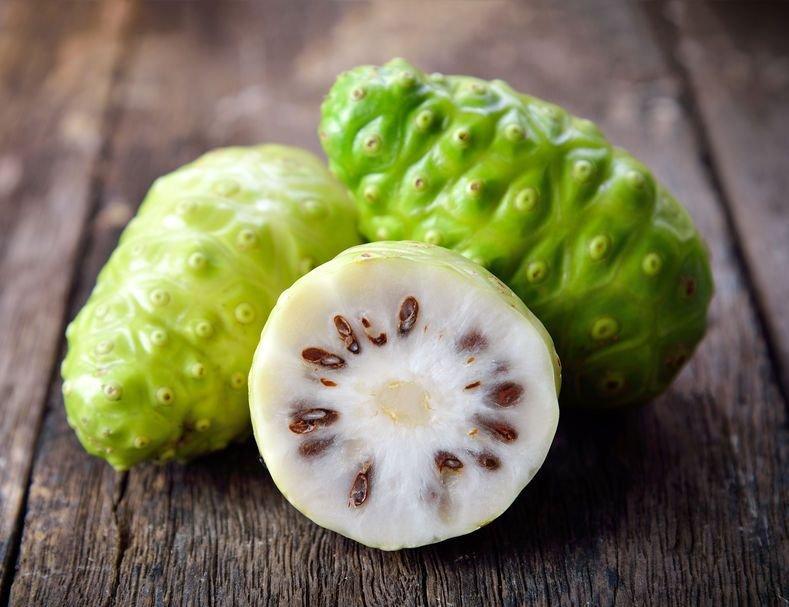 manfaat konsumsi mengkudu untuk kesehatan