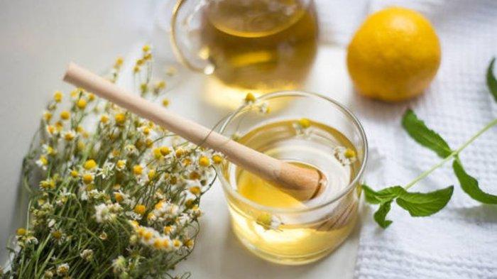 ilustrasi teh herbal untuk penderita asam urat