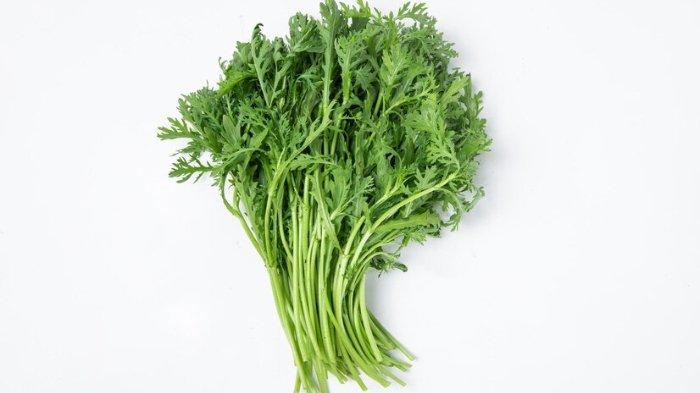 Ilustrasi daun baru Cina atau mugwort, berikut manfaatnya untuk kesehatan