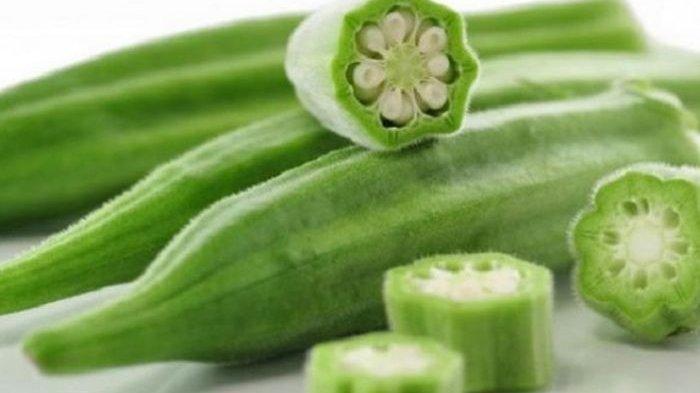 Ilustrasi okra, berikut manfaat okra untuk kesehatan tubuh