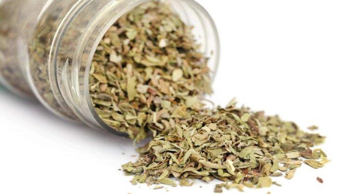 Ilustrasi oregano, salah satu herbal dan rempah yang bagus untuk menurunkan kolesterol