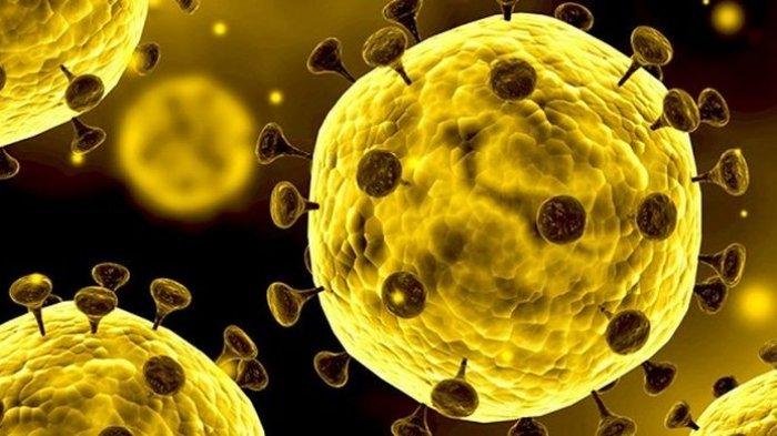 ilustrasi virus penyebab pneumonia