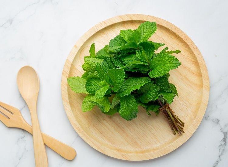 manfaat daun mint untuk kesehatan