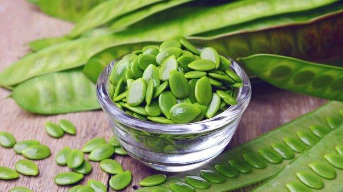manfaat petai cina untuk kesehatan