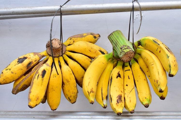 manfaat pisang raja untuk kesehatan