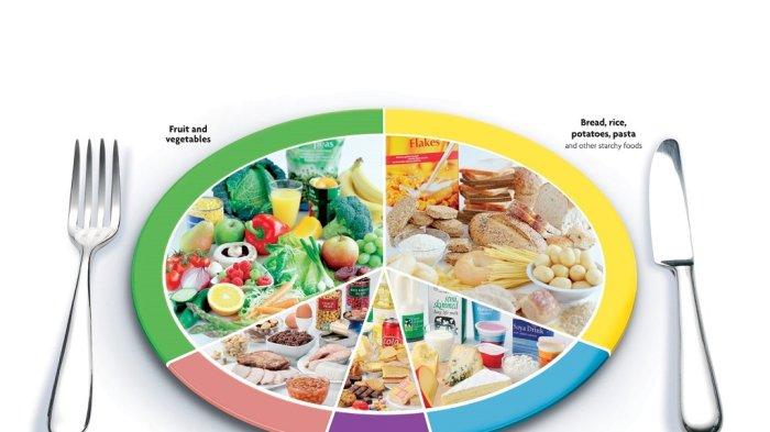 ilustrasi pola makan seimbang