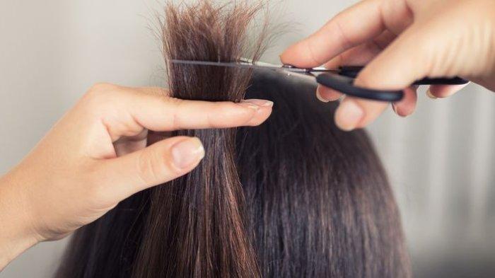 ilustrasi potong rambut bercabang dan rusak