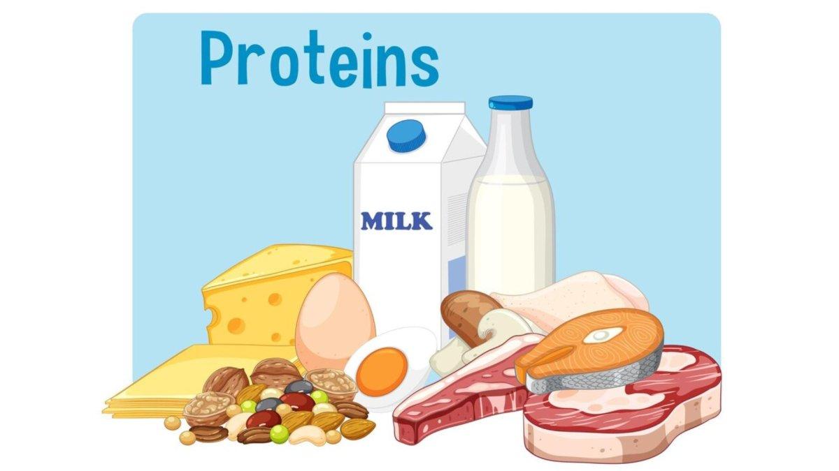 ilustrasi makanan kaya protein