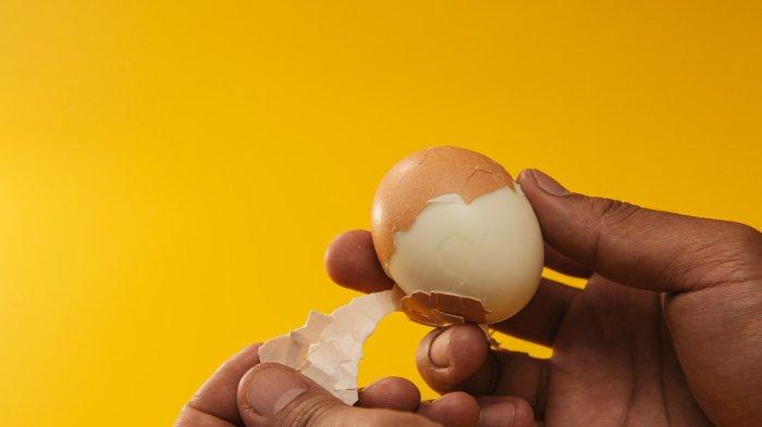 Putih telur baik dikonsumsi oleh penderita masalah ginjal