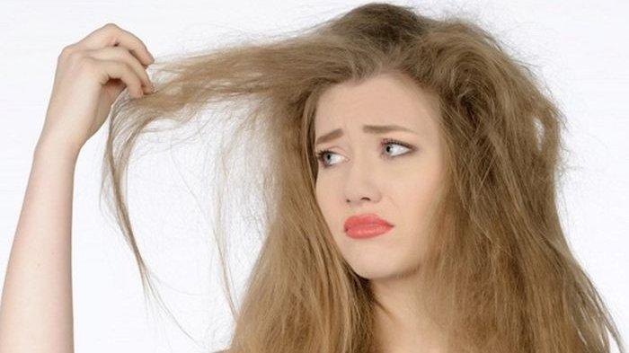 ilustrasi rambut tidak sehat